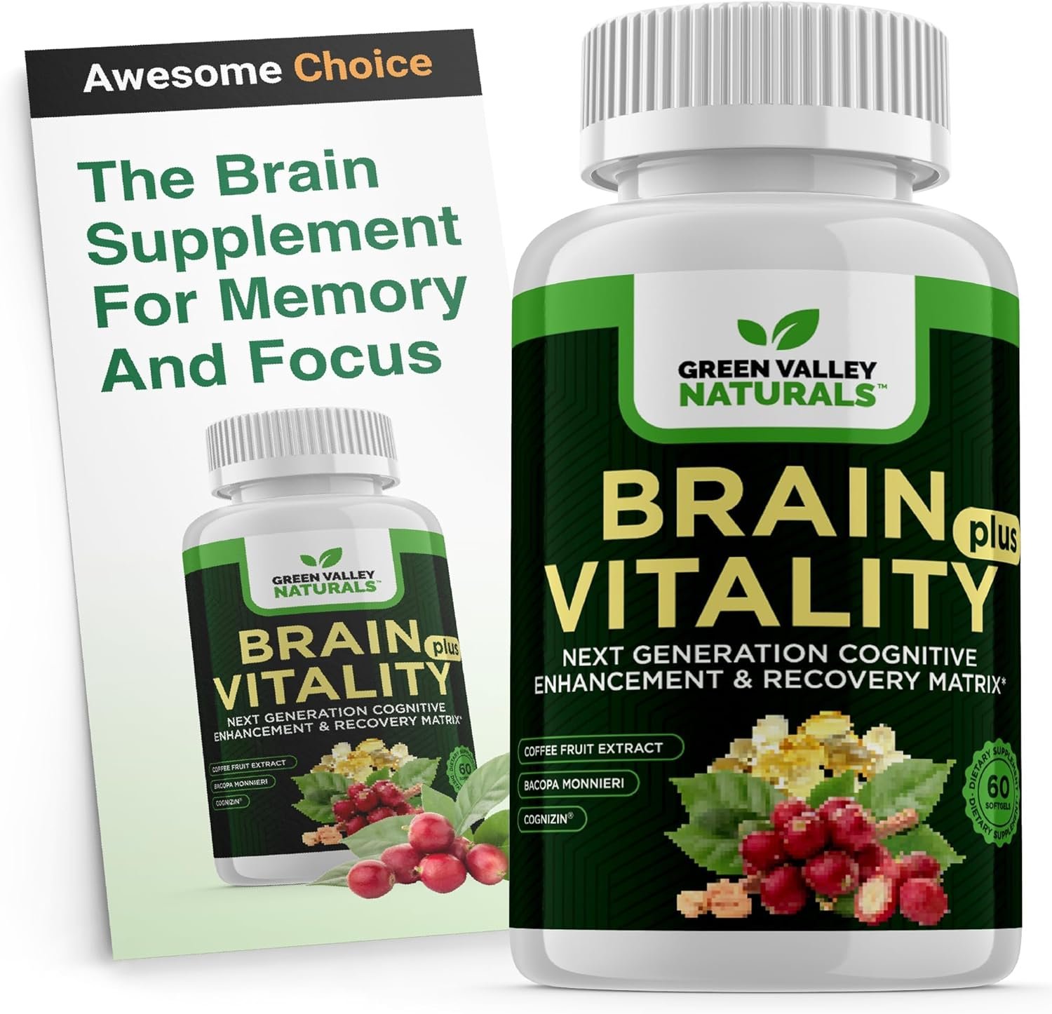 GREEN VALLEY NATURALS Brain Vitality Plus™ – Brain Health & Cognitive Support for Memory, Focus & Mental Clarity with Cognizin® Citicoline, Bacopa Monnieri & DHA Omega-3 | 60 Softgels