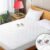 Heated Mattress Pad Queen Size Quilted Zone Heating Electric Bed Warmer Luxury Comfort Heat Mattress Pad Cover Dual Controller（10 Heat Setting | 1-12 Hours Auto Shut Off | with 8-21 Inch Deep Pocket）
