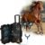 PEMF Therapy Device for Horses – Magnetic Pulse Machine w/X-Wing, Single & Butterfly Loop Attachments – Lameness Relief, Colic Care & Pain Recovery